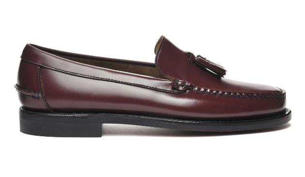 A plum-coloured shoe