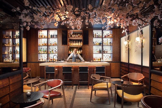 blossom covered ceiling  bar 